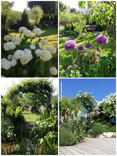 Schönster Garten 2021 - Petra aus Braunau