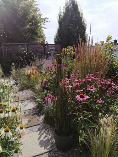 Schönster Garten 2021 - Sandra aus Grieskirchen