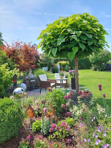 Schönster Garten 2021 - Marianne aus Vöcklabruck