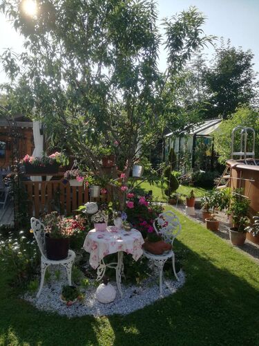 Schönster Garten 2021 - Maria aus Braunau