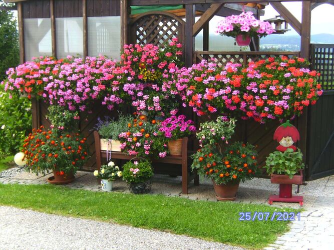 Schönster Garten 2021 - Gertraud aus Rohrbach