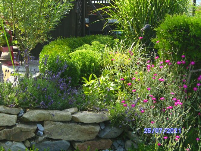 Schönster Garten 2021 - josef aus Rohrbach