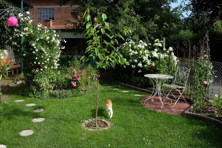 Schönster Garten 2021 - Josefine aus Braunau