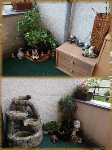 Schönster Garten 2021 - Daniel aus Linz