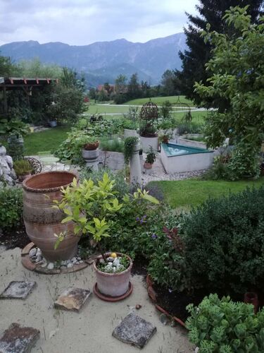 Schönster Garten 2021 - Eva aus Kirchdorf