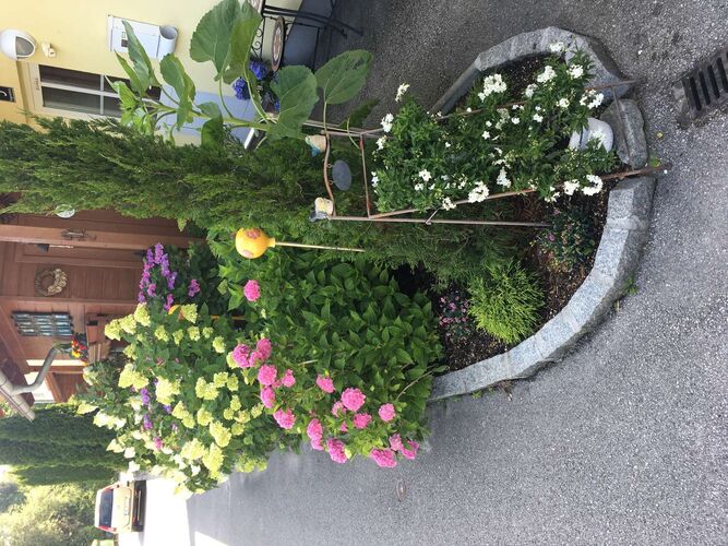 Schönster Garten 2021 - Horst und Theresia aus Gmunden