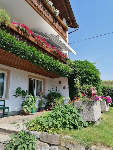 Schönster Garten 2021 - Rosina aus Perg