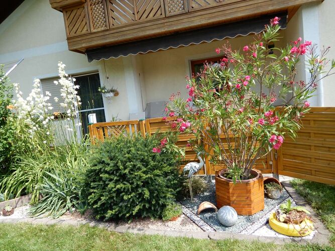 Schönster Garten 2021 - Gertraud aus Braunau