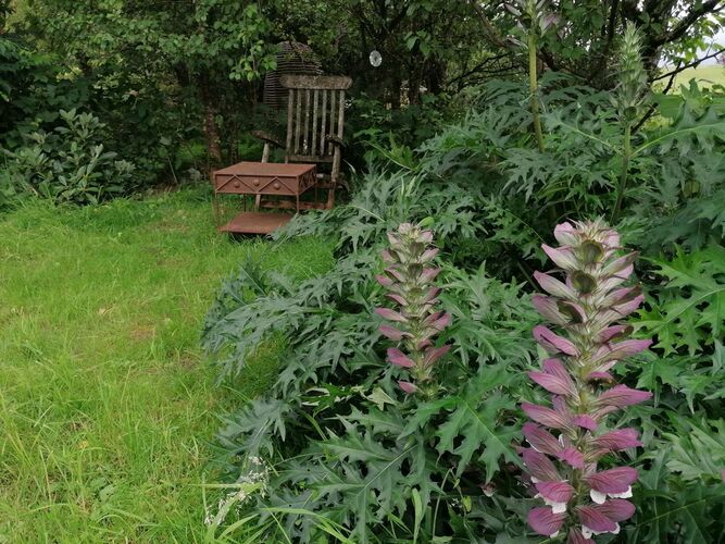 Schönster Garten 2021 - Andrea aus Braunau