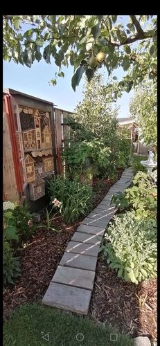 Schönster Garten 2021 - Josef aus Scheibbs