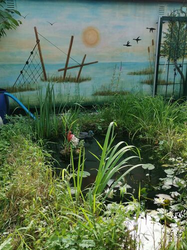 Schönster Garten 2021 - Joschi aus Linz-Land