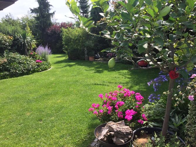 Schönster Garten 2021 - Margit aus Wels