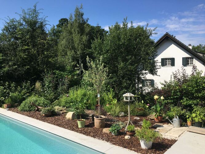 Schönster Garten 2021 - Sonja aus Linz