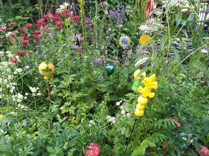 Schönster Garten 2021 - Reinhold aus Vöcklabruck