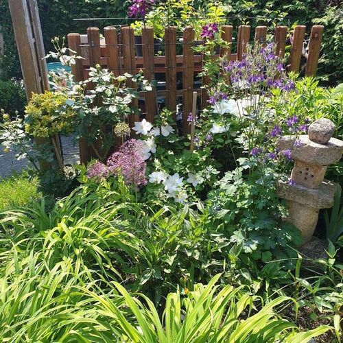 Schönster Garten 2021 - Christine aus Linz-Land