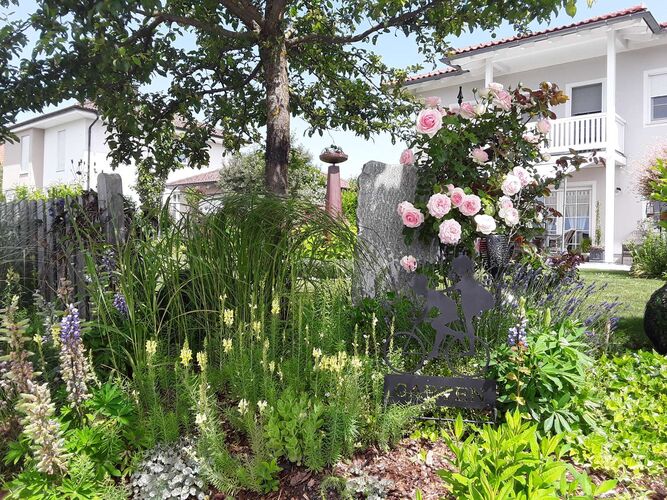 Schönster Garten 2021 - Gisela aus Grieskirchen