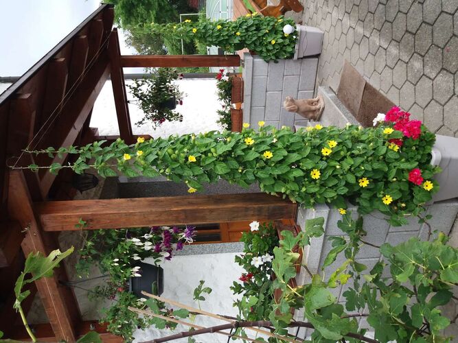 Schönster Garten 2021 - Melitta aus Braunau