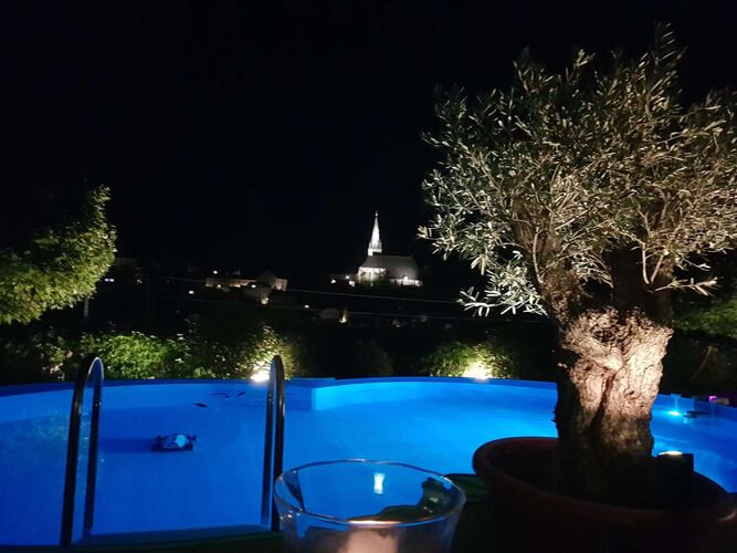 Schönster Garten 2021 - Walter aus Amstetten