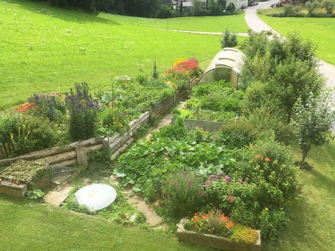 Schönster Garten 2021 - Christine aus Urfahr-Umgebung