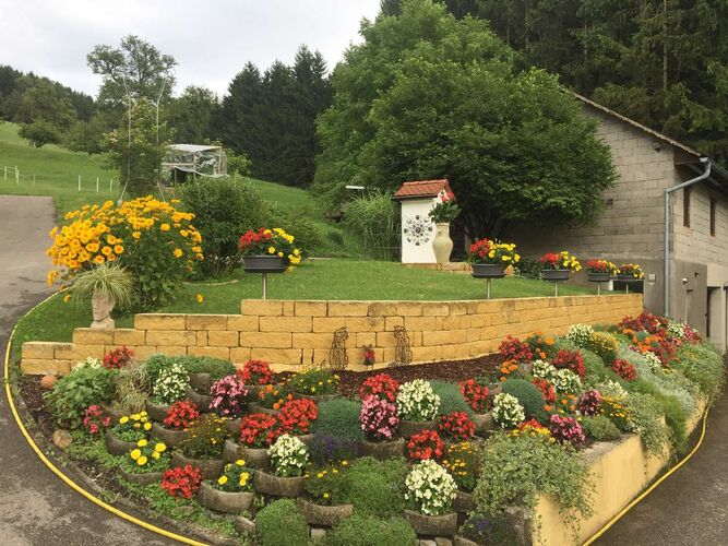 Schönster Garten 2021 - Marianne aus Amstetten