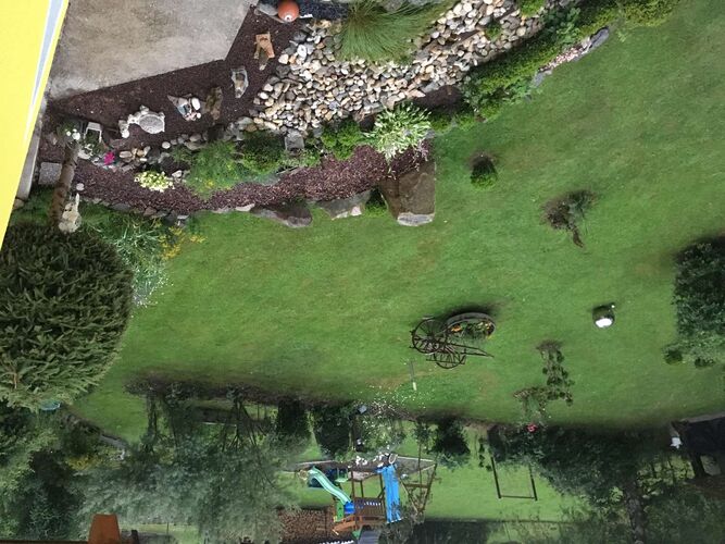 Schönster Garten 2021 - Margarete aus Urfahr-Umgebung