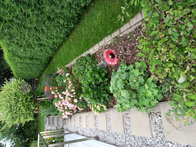 Schönster Garten 2021 - Frieda aus Rohrbach