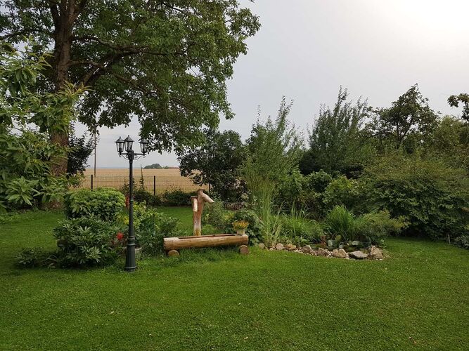 Schönster Garten 2021 - Hermann aus Linz-Land