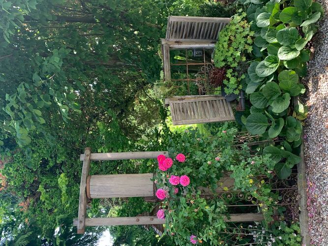 Schönster Garten 2021 - Christine  aus Ried