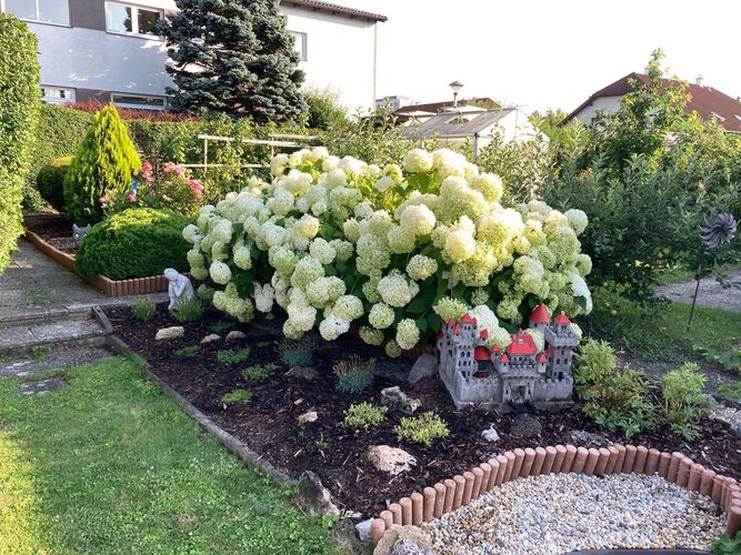 Schönster Garten 2021 - Eva aus Wels