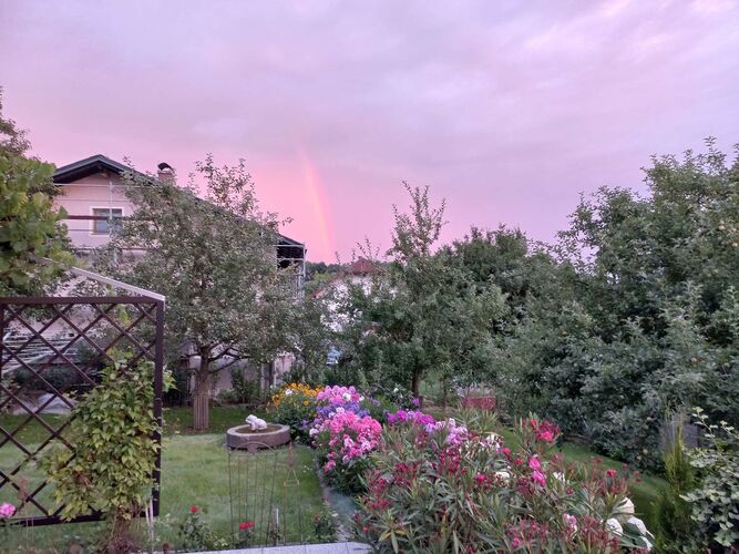 Schönster Garten 2021 - Maria  aus Grieskirchen