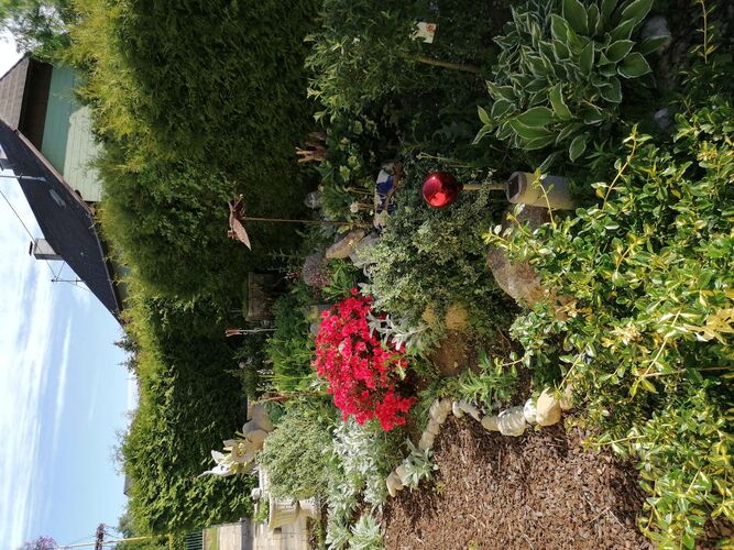 Schönster Garten 2021 - Hilde aus Wels