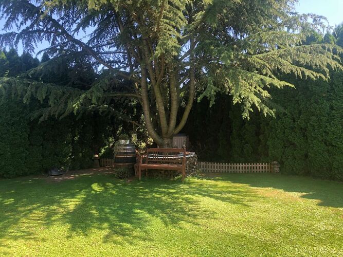 Schönster Garten 2021 - Roswitha  aus Perg