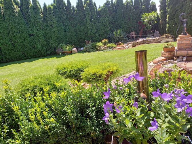 Schönster Garten 2021 - Roswitha  aus Perg