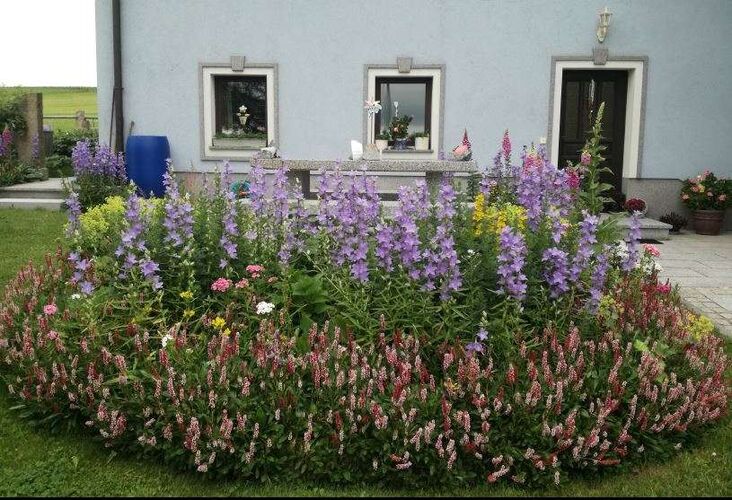 Schönster Garten 2021 - Ottilie aus Urfahr-Umgebung