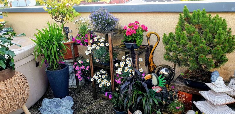 Schönster Garten 2021 - Astrid aus Vöcklabruck