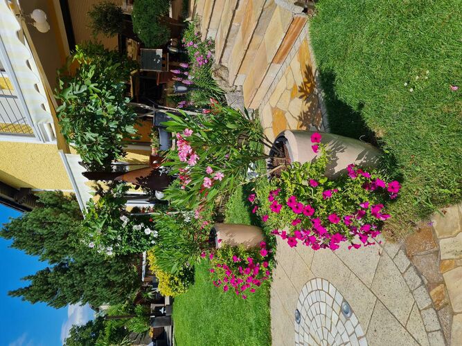 Schönster Garten 2021 - Anita aus Amstetten