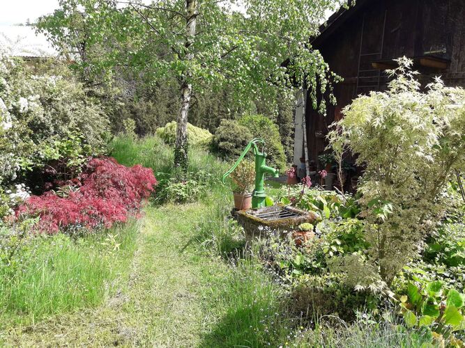 Schönster Garten 2021 - Anna aus Kirchdorf