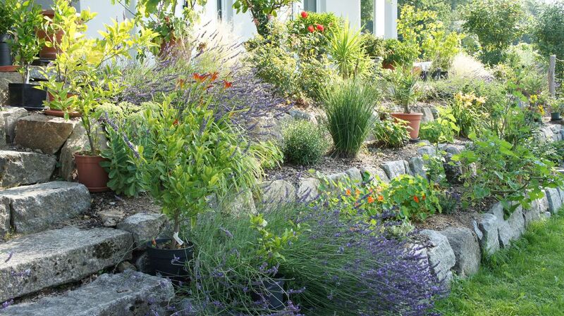 Schönster Garten 2021 - karl-heinz aus Freistadt