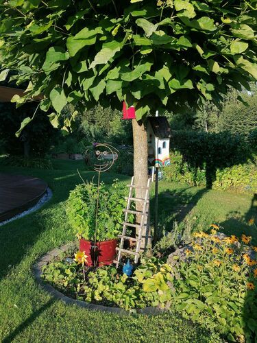 Schönster Garten 2021 - Johann  aus Perg