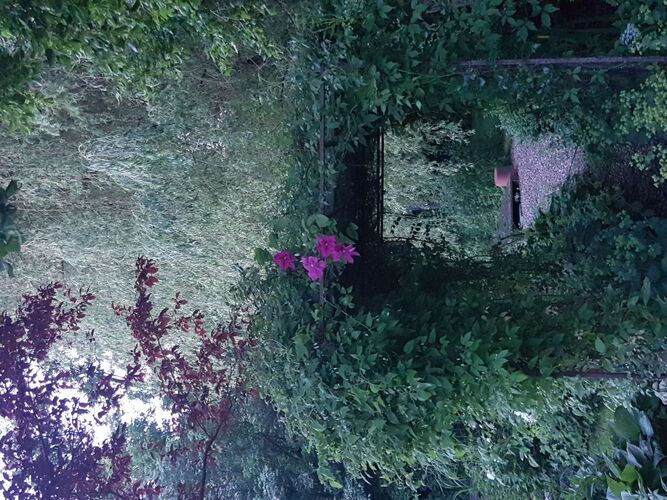 Schönster Garten 2021 - Agnes aus Wels