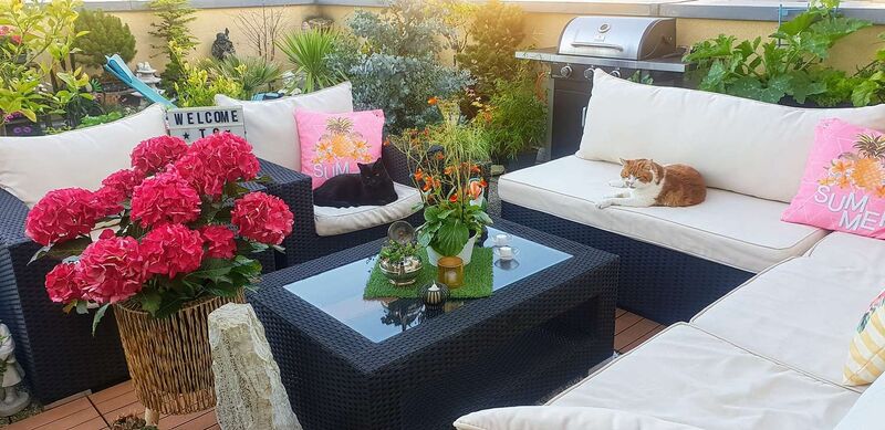 Schönster Garten 2021 - Thomas  aus Vöcklabruck