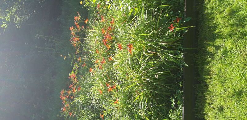 Schönster Garten 2021 - Humer  aus Schärding