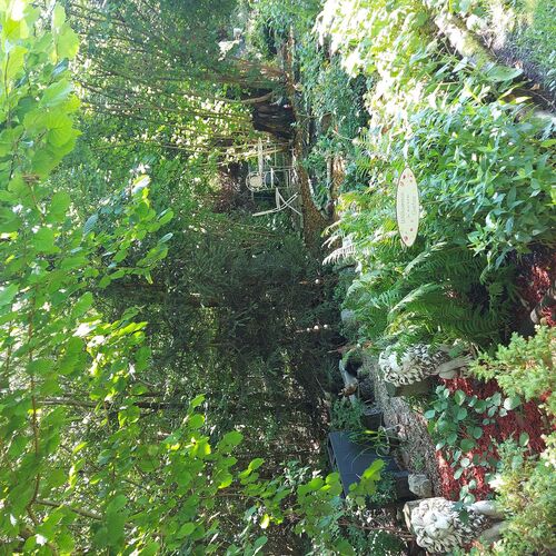 Schönster Garten 2021 - Jutta aus Gmunden