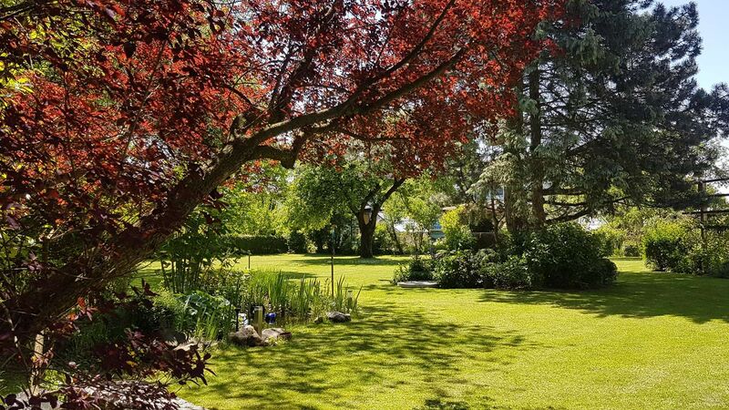 Schönster Garten 2021 - Ingrid aus Braunau