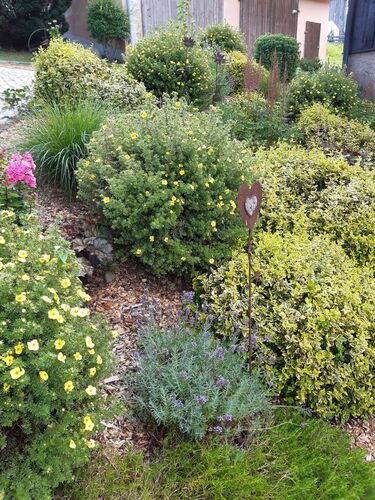 Schönster Garten 2021 - Sabine aus Rohrbach