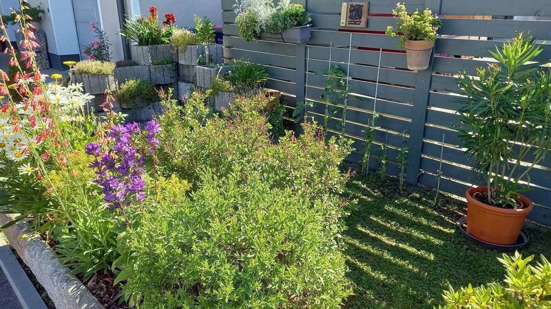 Schönster Garten 2022 - Michaela aus Braunau