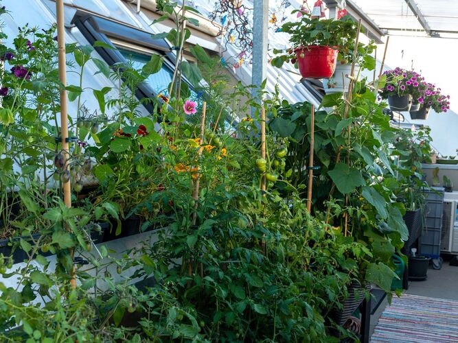 Schönster Garten 2022 - Herwig aus Linz