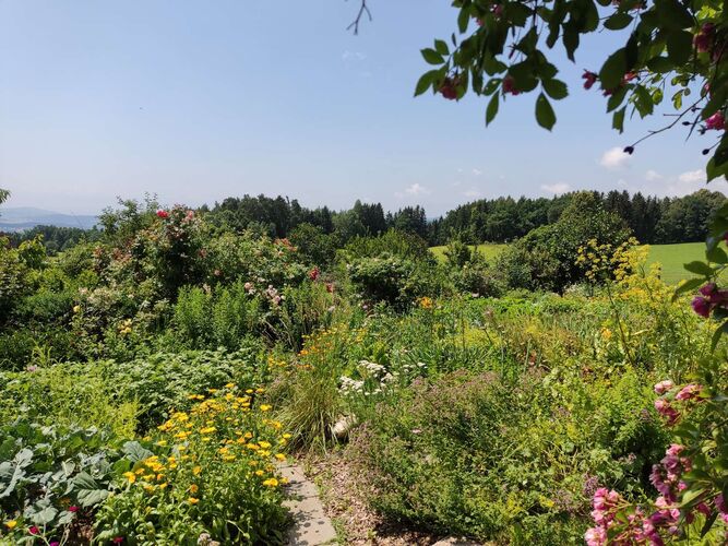 Schönster Garten 2022 - Rachel aus Freistadt