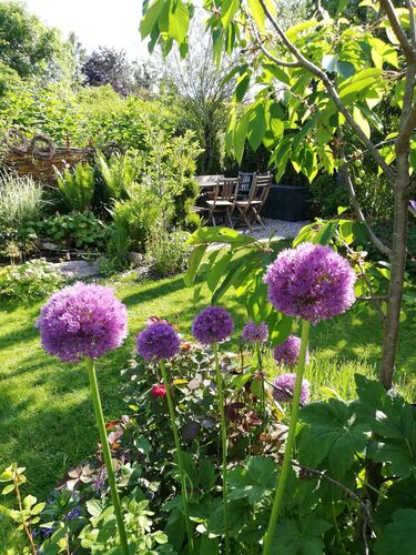 Schönster Garten 2022 - Petra aus Braunau