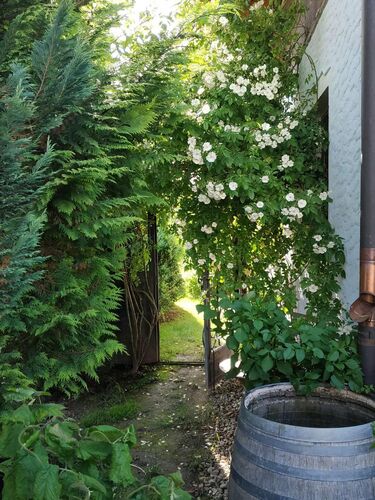 Schönster Garten 2022 - Marianne aus Vöcklabruck